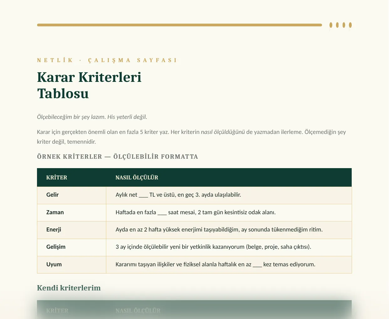 Karar kriterleri çalışma sayfasından kısmi önizleme.
