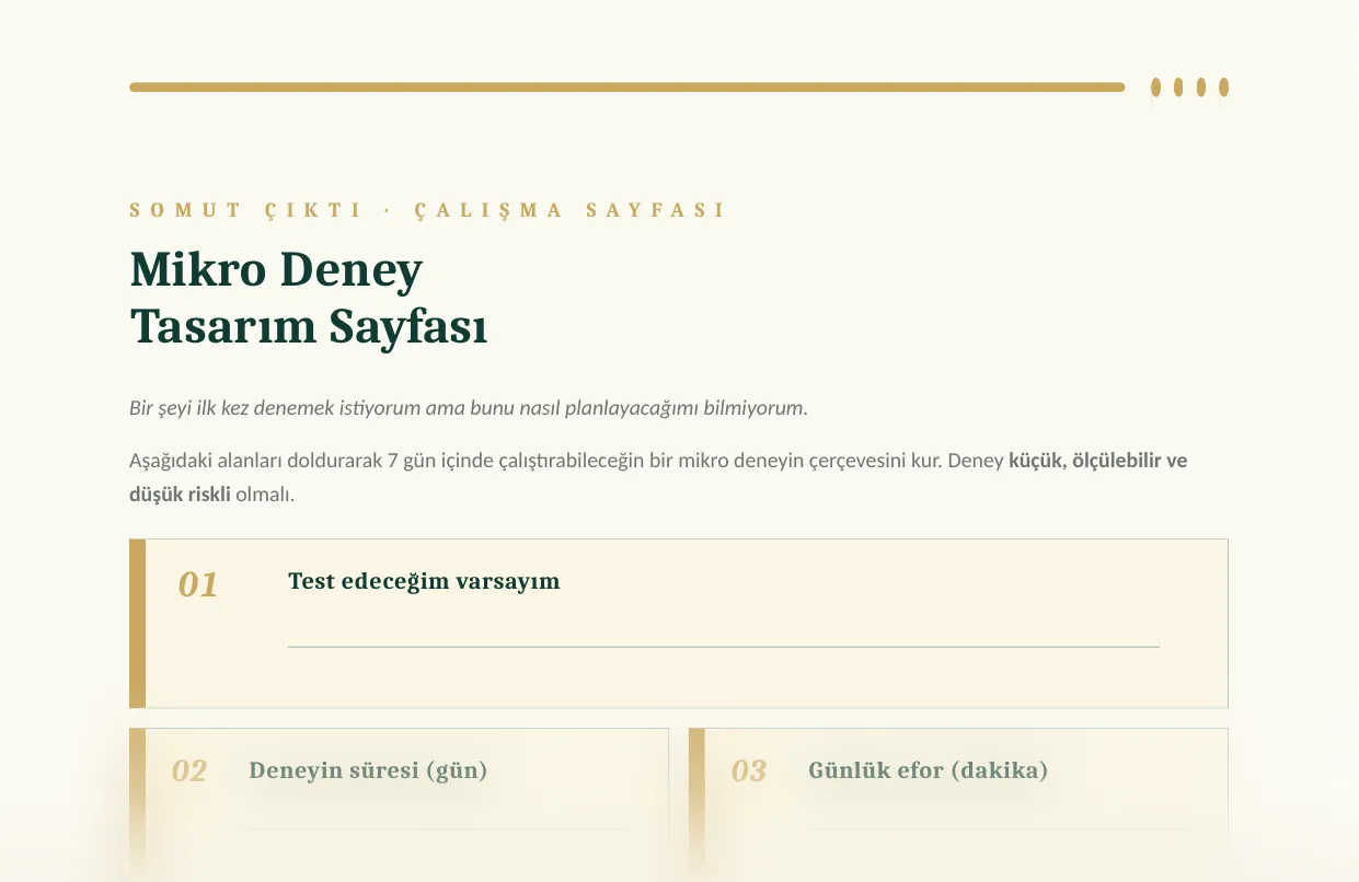Mikro Deney Tasarım Sayfası — rehber sayfasından güvenli önizleme